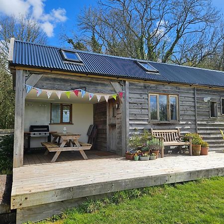 Log Cabin At The Old Summer Dairy Glastonbury Somerton  Exteriör bild